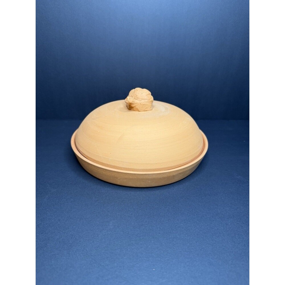Vintage Terra Cotta Garlic Baker Dish and Cover Made‎ in Italy Boston Warehouse3
